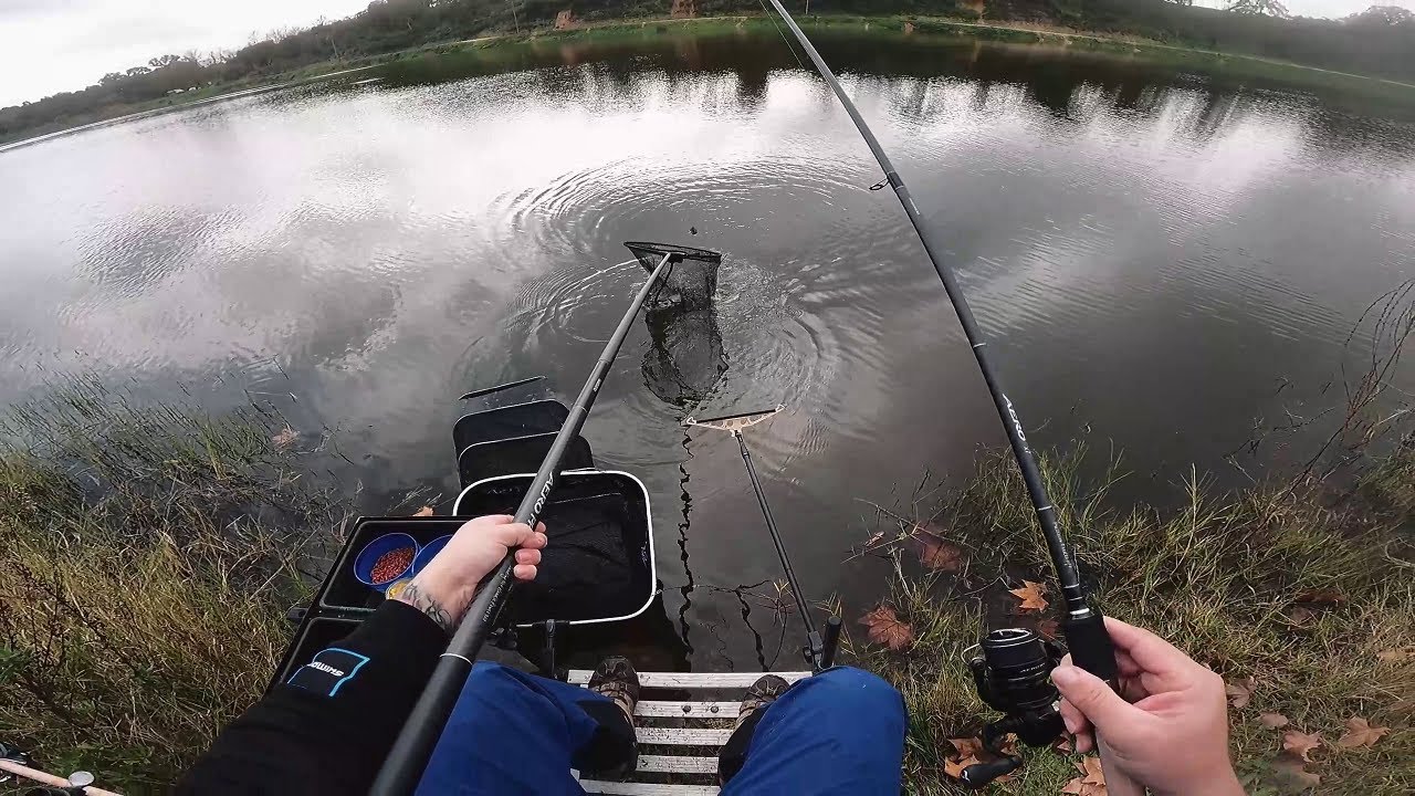 SHIMANO Feeder Fishing - Patudos, Portugal