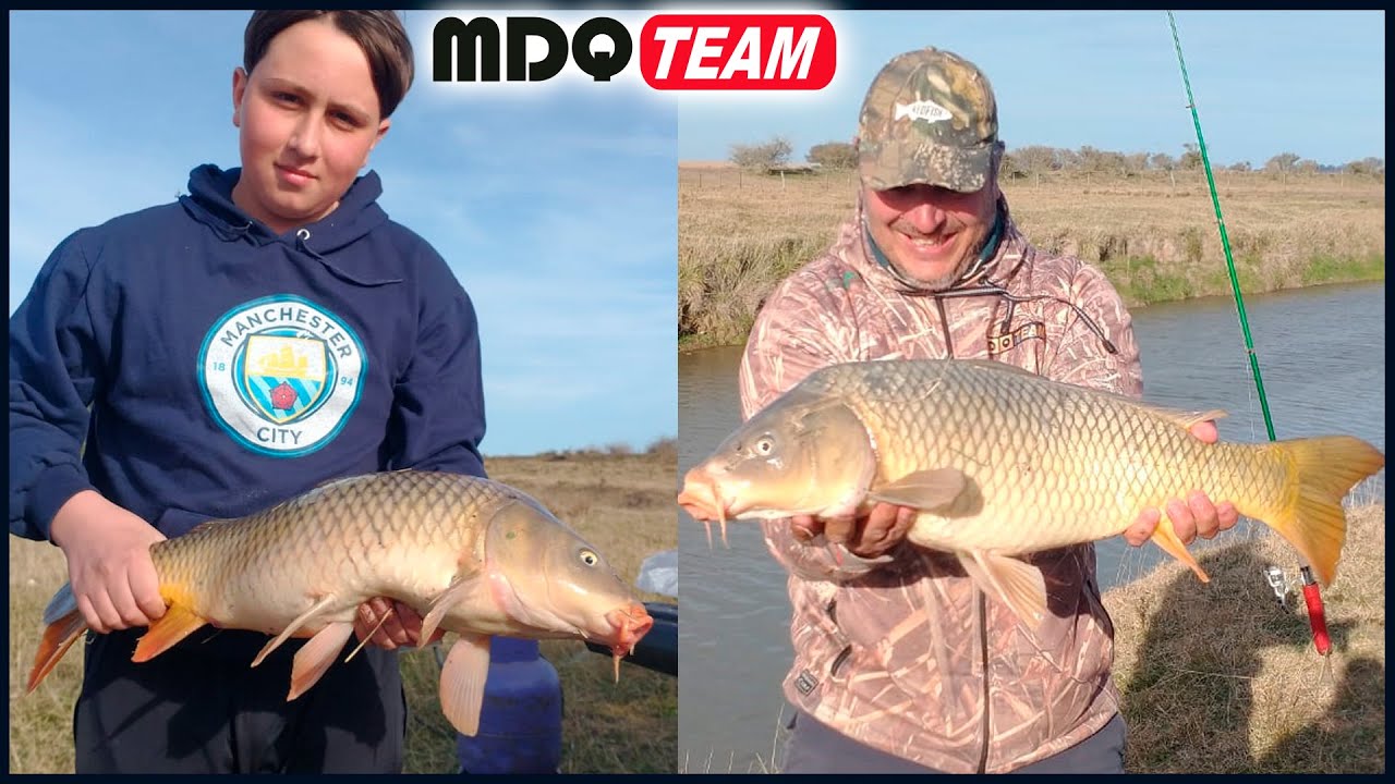 PESCA DE CARPAS GIGANTES EN CANAL 5 EN INVIERNO TAMBIÉN PICAN