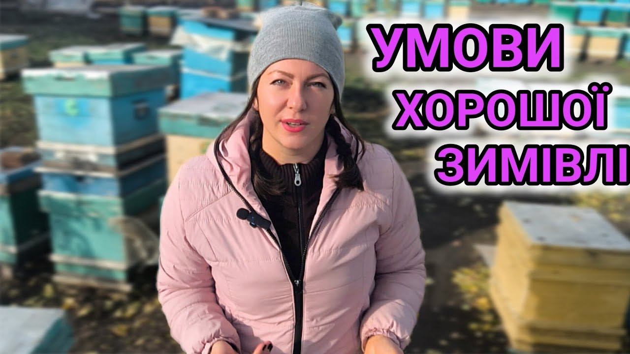 Щоб бджоли добре перезимували треба...Не загодовані бджоли, що робити. Помилки перед зимівлею. 