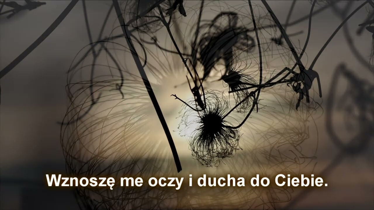 Słowo zachęty i pociechy - Cudowne Boże stworzenie