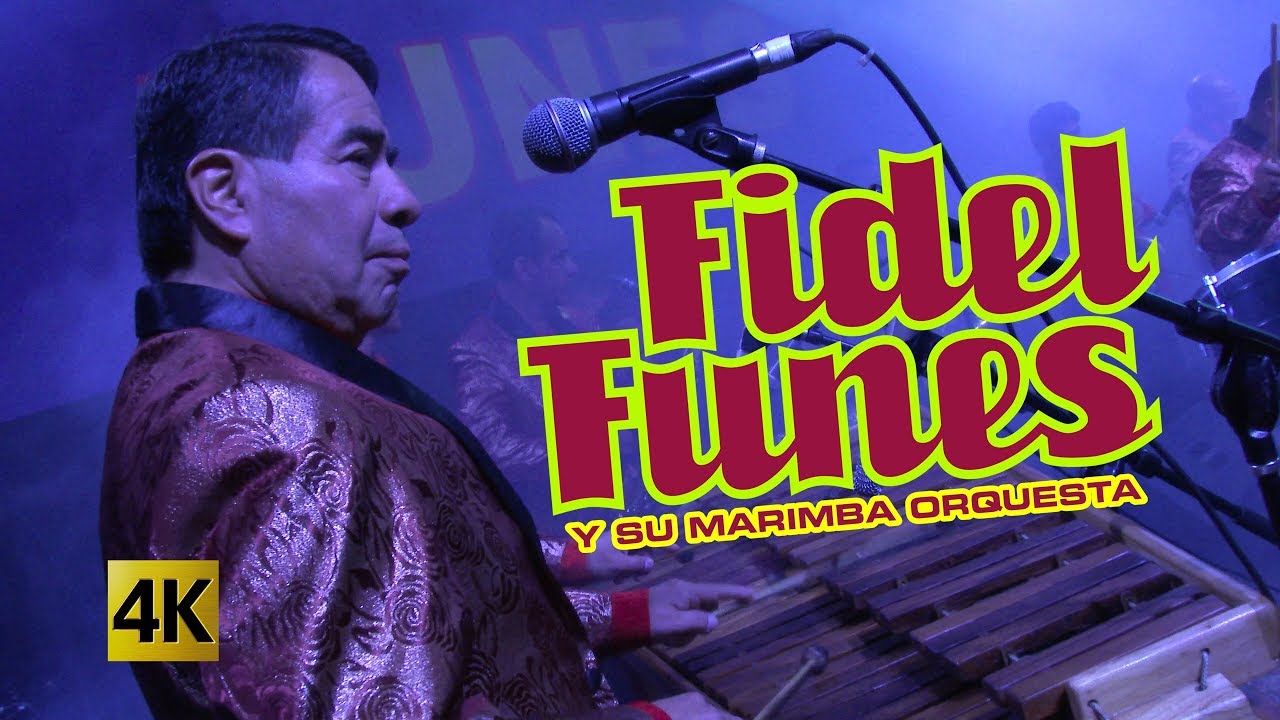 Fidel Funes y su Marimba Orquesta  - Contento Vine 4K