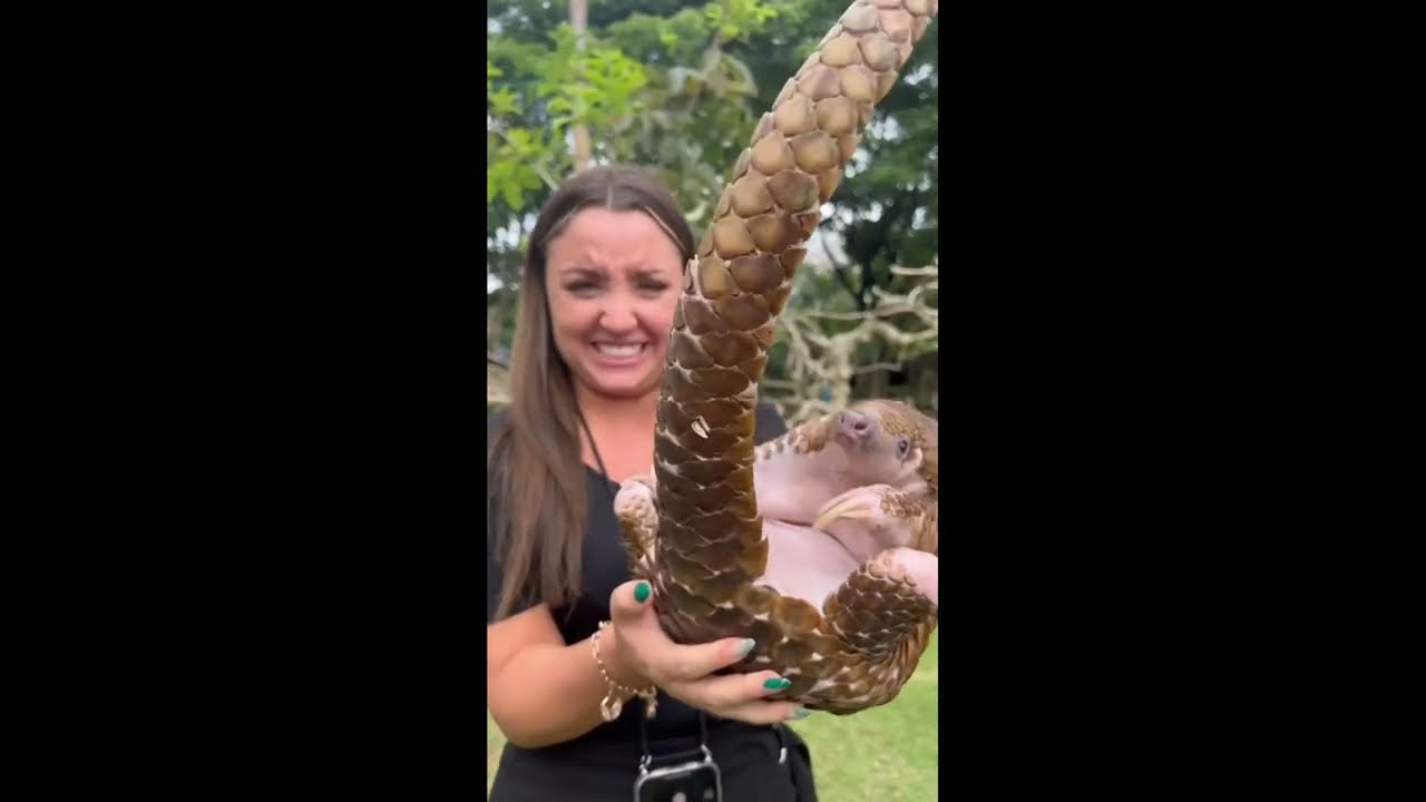 📸 @maelleane9530 au Zoo de Bali ! 🐻
