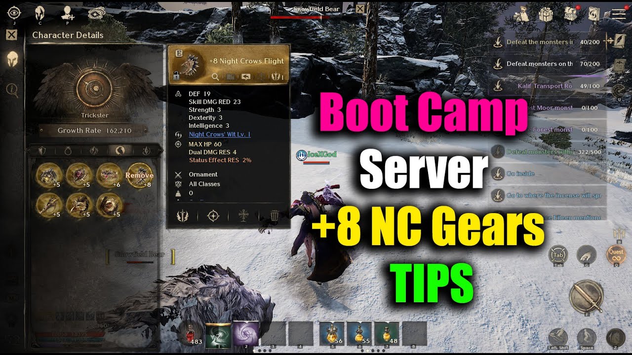 Сервер Night Crow Boot Camp +8 NC Gears СОВЕТЫ