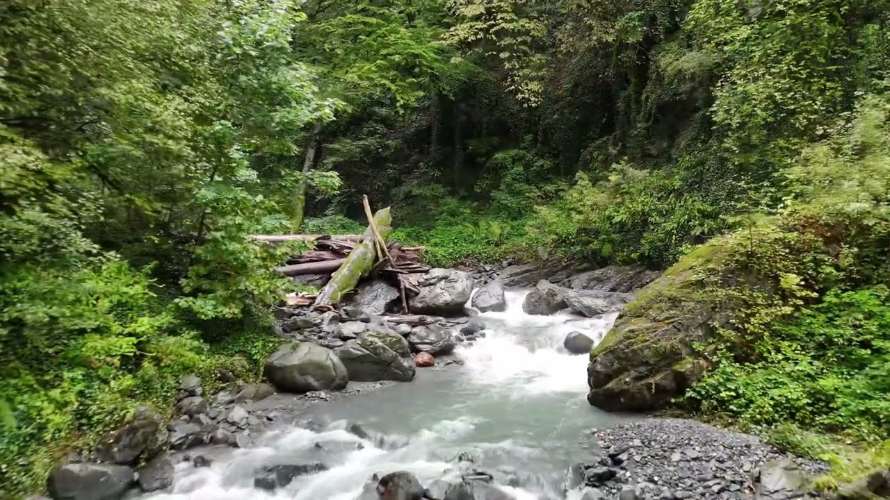 Lagodekhi Nature Reserve 09/2025