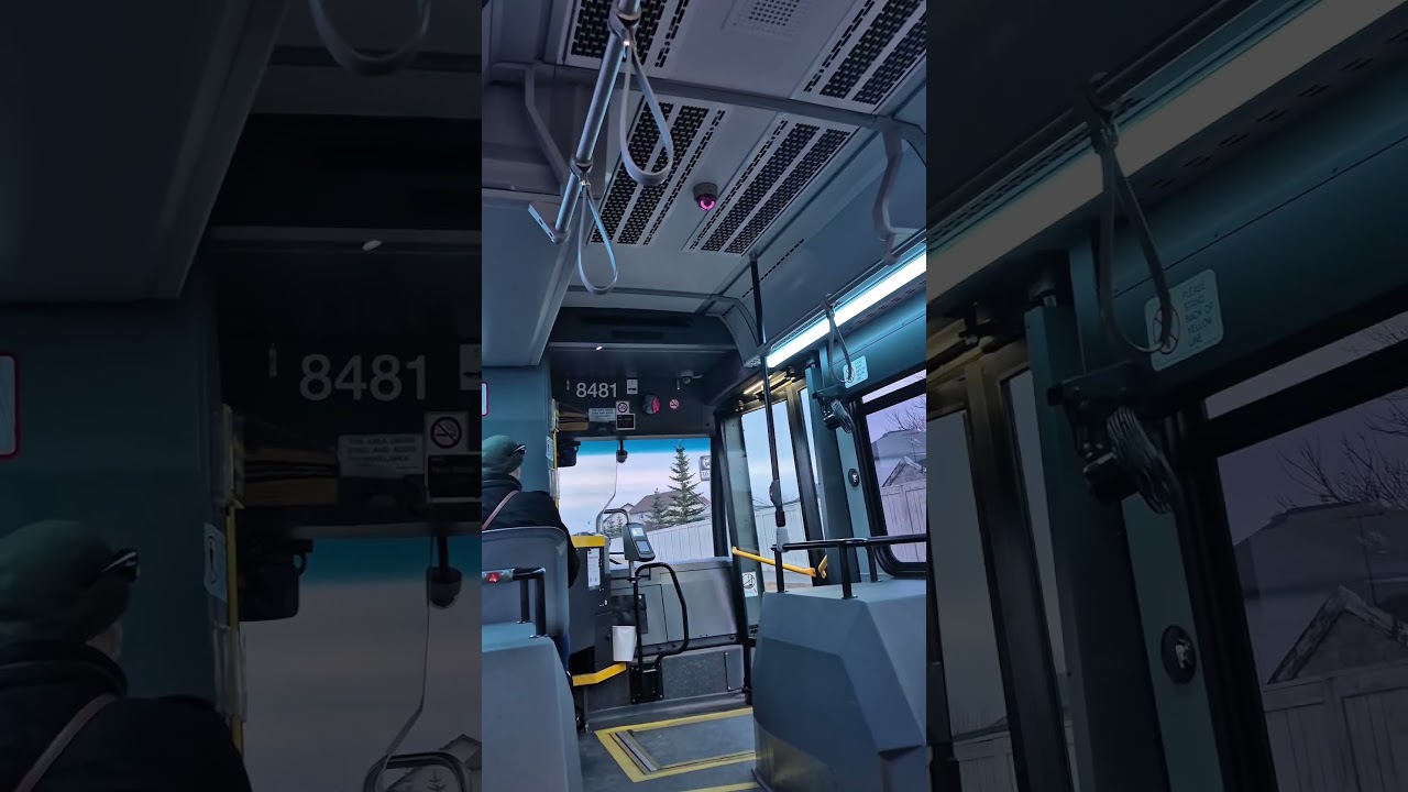 #8436 #2244 #8481