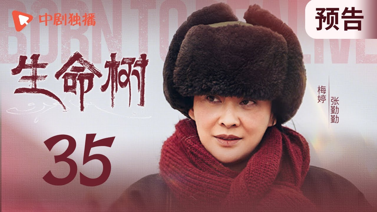 生命树 预告 35 （杨紫、胡歌、李光洁、张哲华、杨烁、梅婷 领衔主演）