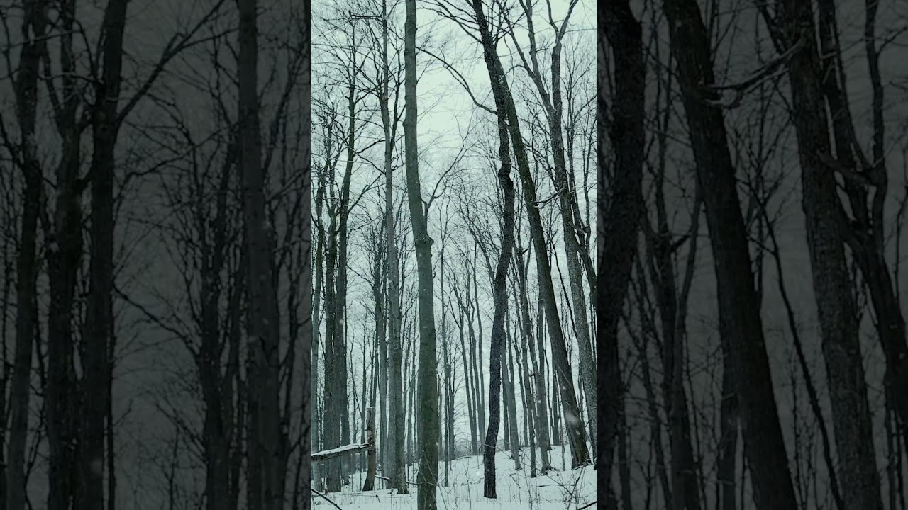 The power of color grading | Premiere Pro | Canon R6 #colors  #cinematic #canon