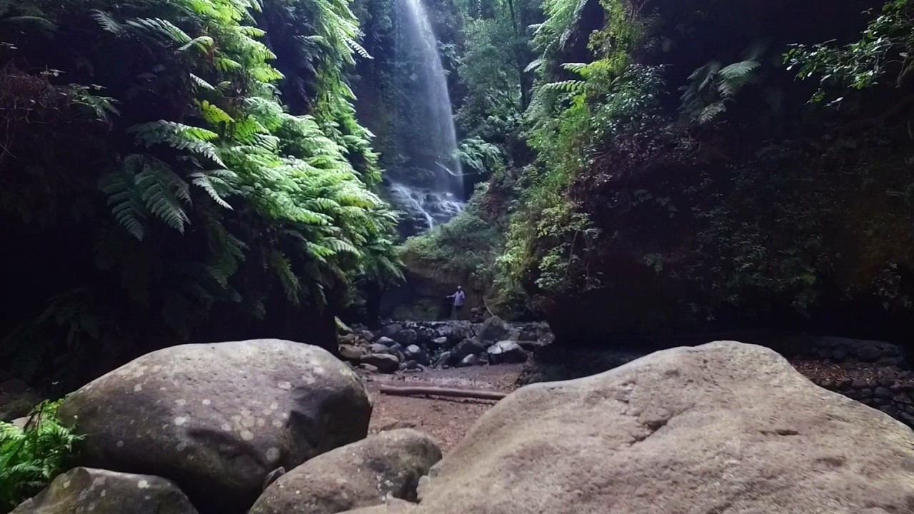 La Palma   Cascada Los Tilos