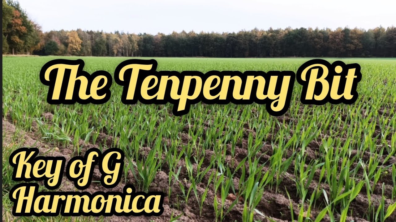 The Tenpenny Bit (Jig) - Harmonica (+Tabs)