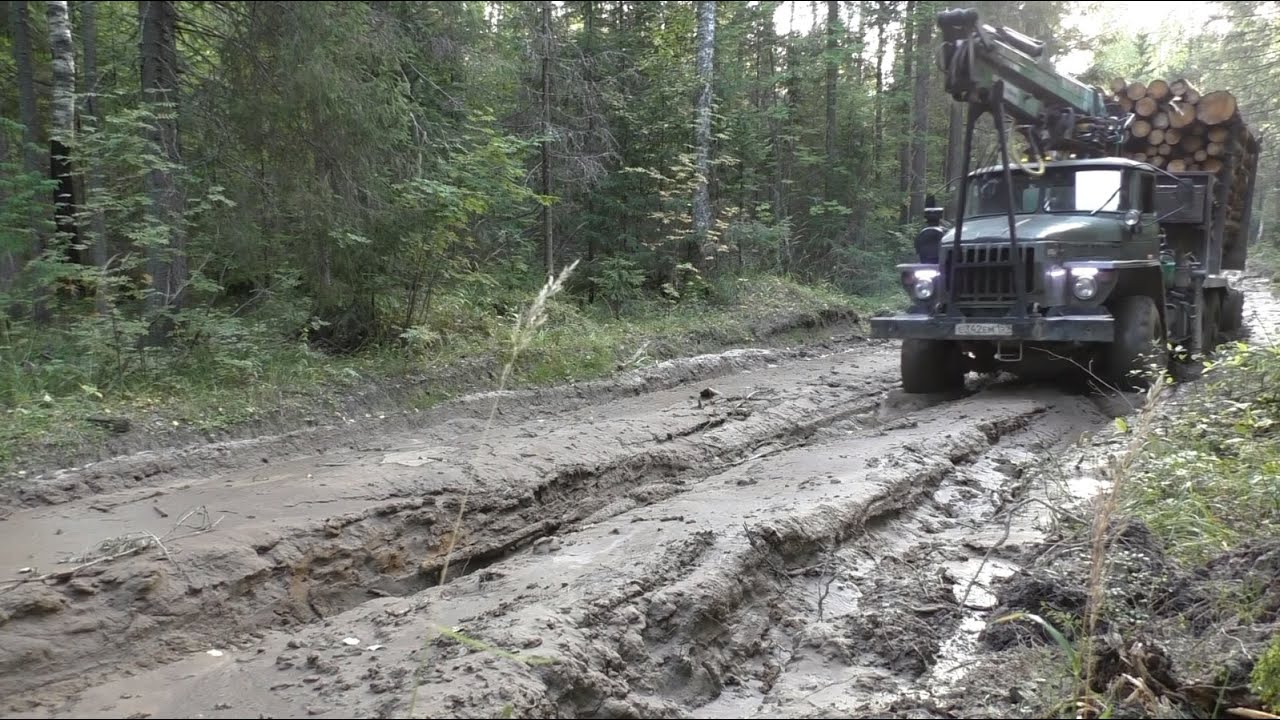 Дорога по болоту, горбыль спасает. Урал лесовоз.