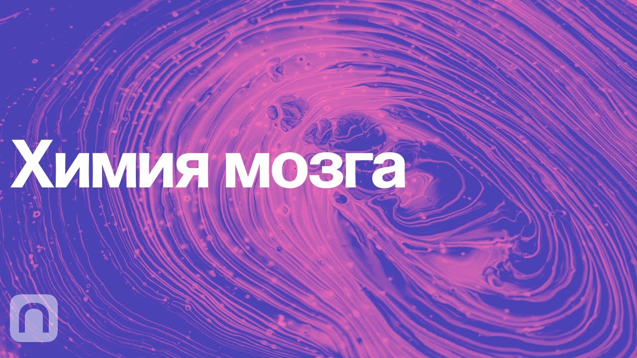 Химия мозга &ndash; курс Вячеслава Дубынина / ПостНаука