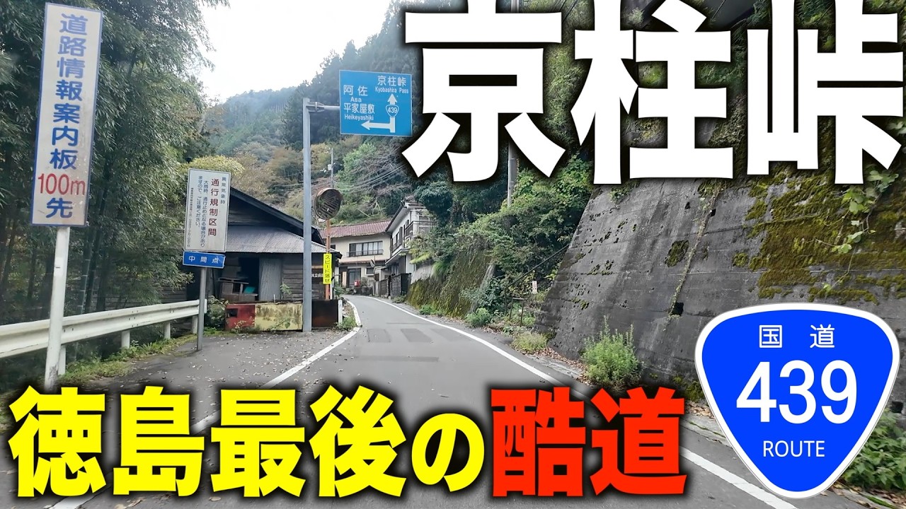 #2【酷道】国道４３９号の徳島県最大の難所「京柱峠」を越え高知県へ！絶景の集落、最恐の吊り橋、かかしの里