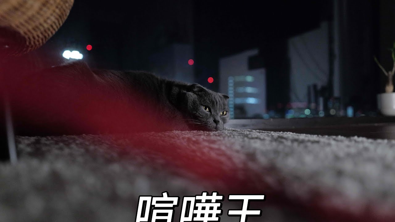和日本人吵架方法教学之教多管闲事大妈做人