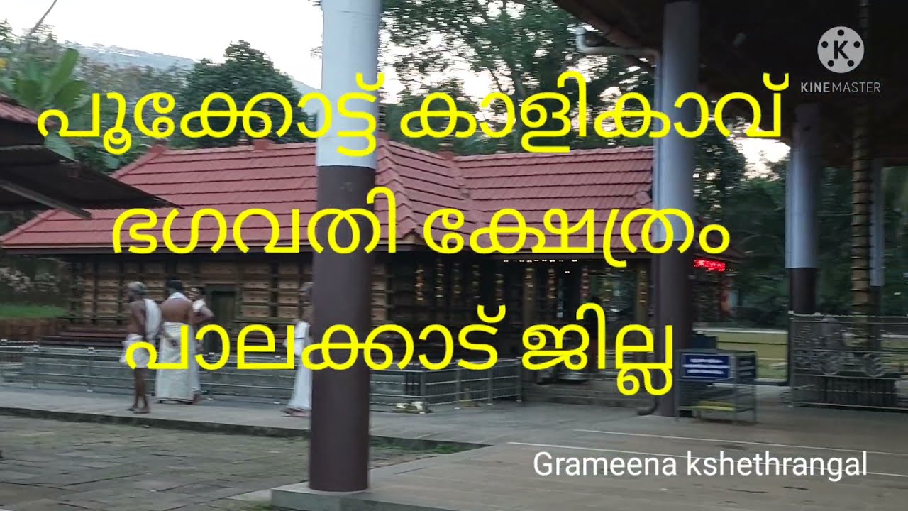 Pookottu Kalikavu Mandala Thalappoli  Part 1  പൂക്കോട്ട് കാളികാവ്... Village Temples