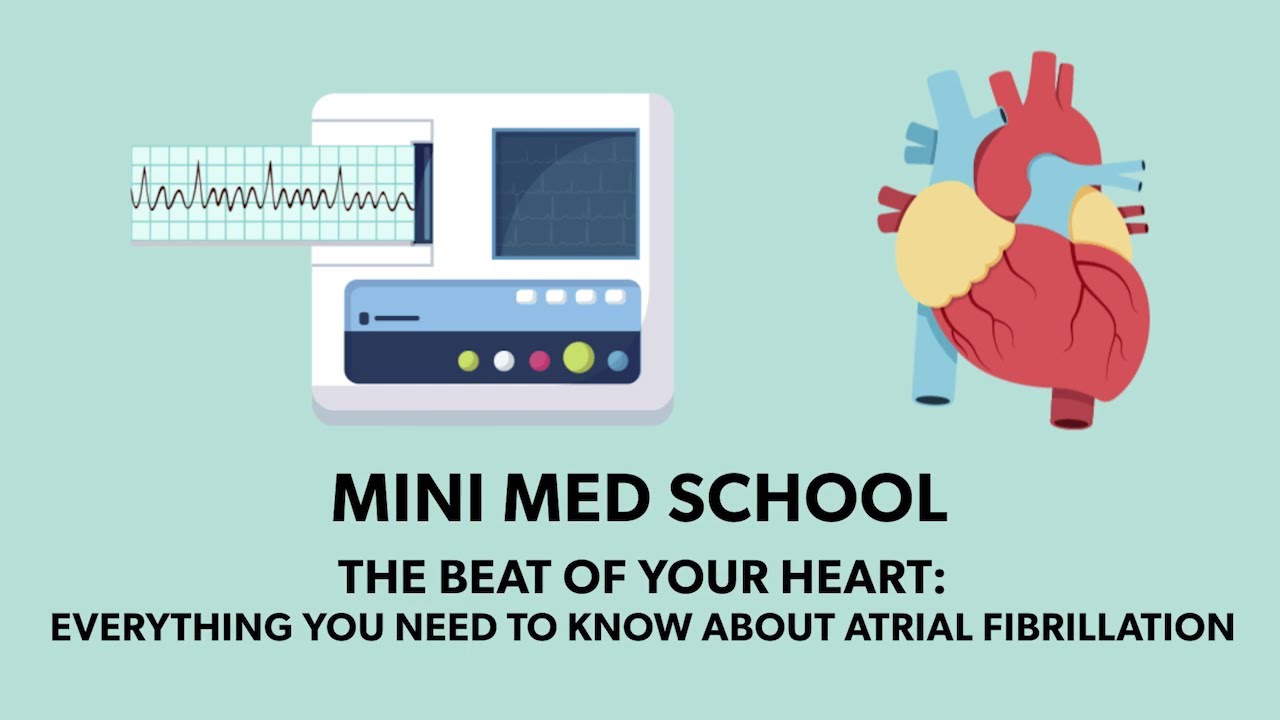 The Beat of Your Heart: Everything You Need to Know About Atrial Fibrillation