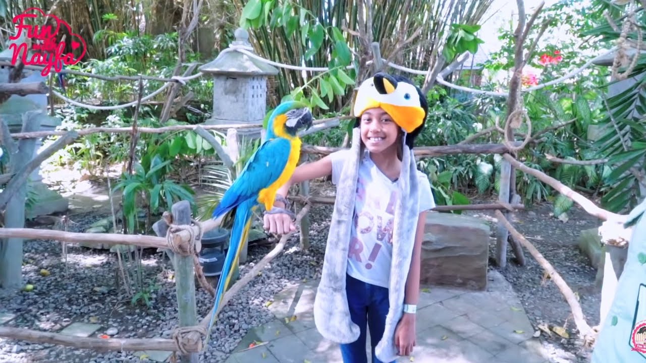 Vlog Nayfa Ke Kebun Binatang Bali Marine Safari  Park