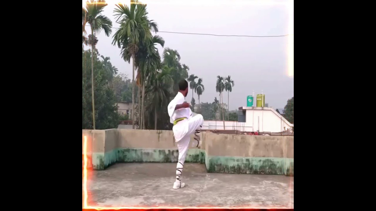 Kung fu techniques😾😾#shorts #kungfu