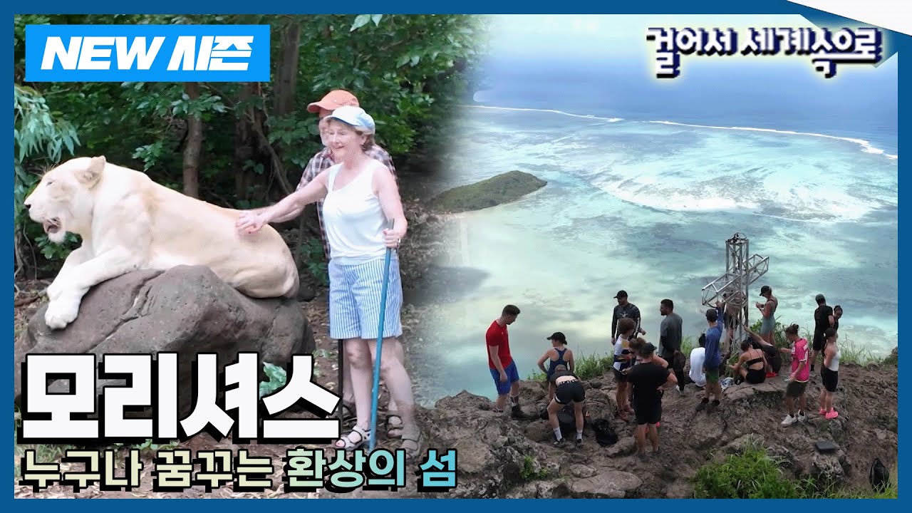[✨NEW✨걸어서세계속으로📺] 신이 빚은 천국이라 불리는 섬 '모리셔스' Trip to Mauritius (KBS 20250503)