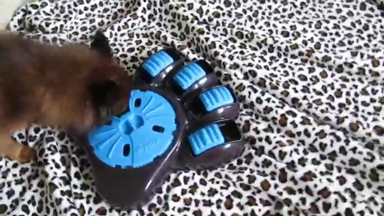 FEEDMYPAWS - VLOG 15052015