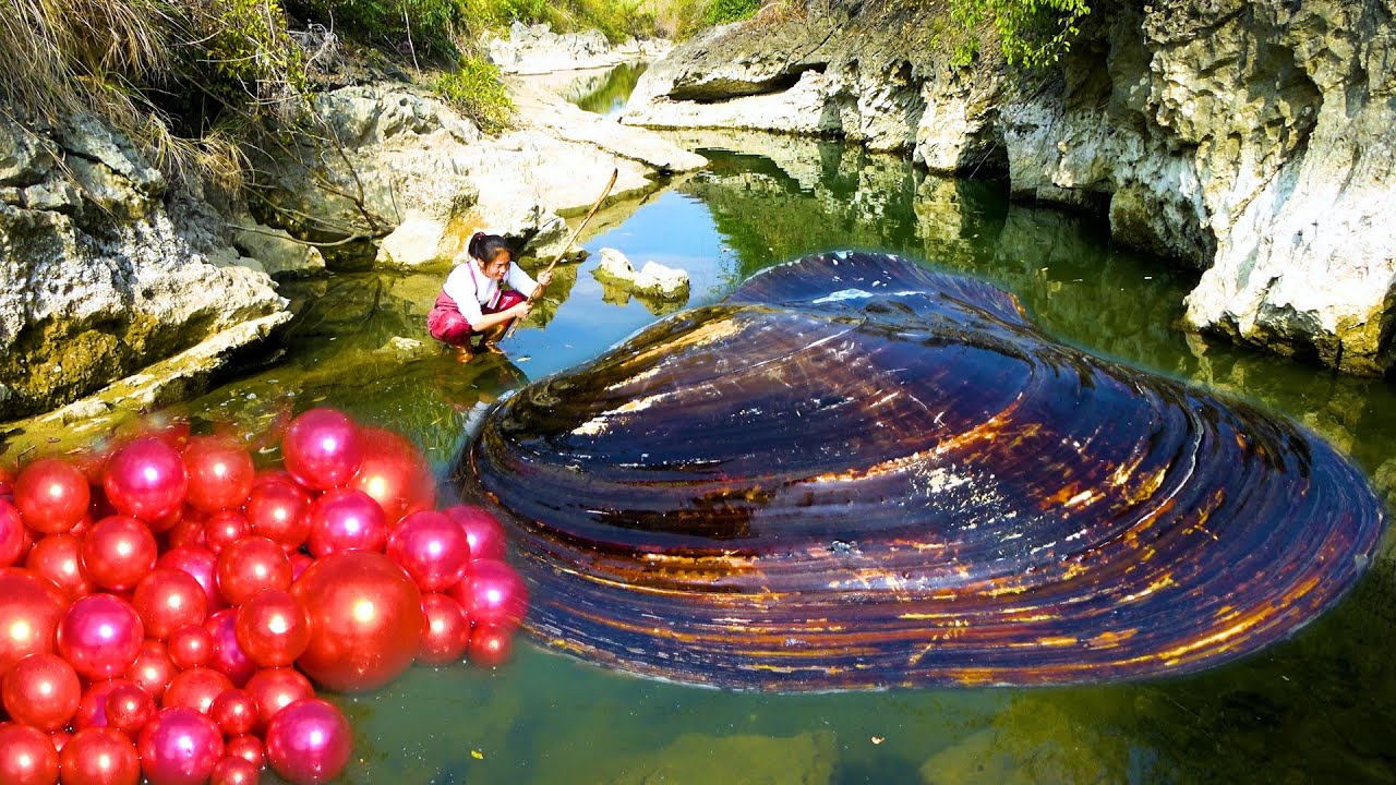 Gently shaking the clam, you can hear the sound of pearls, that's great