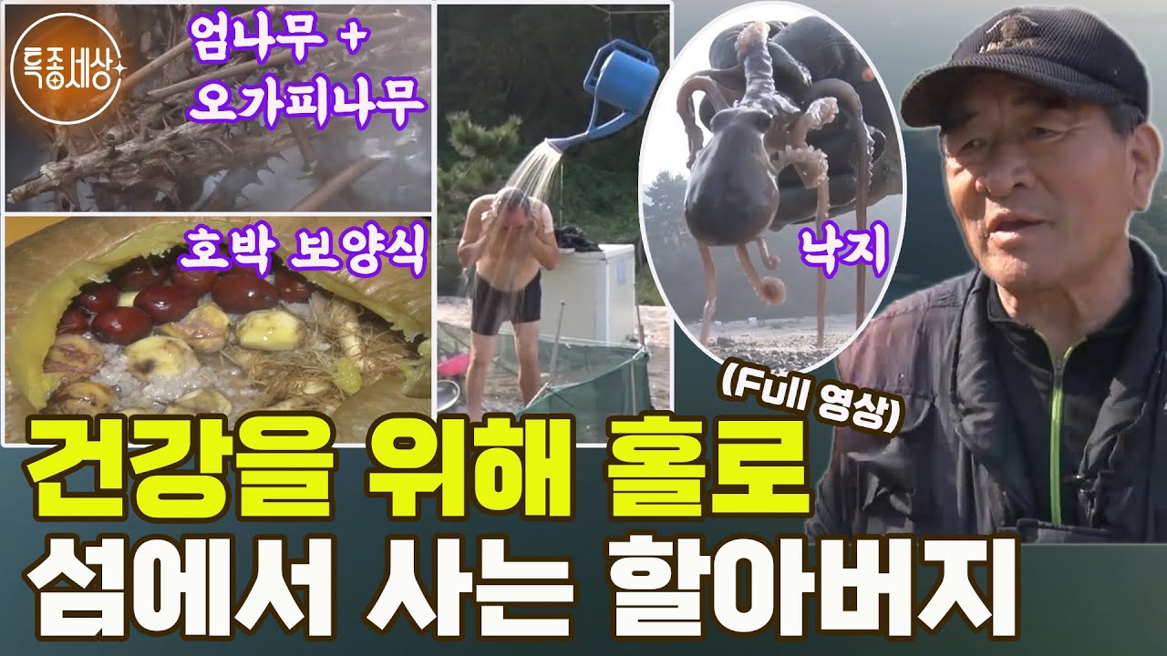 [특종세상] 건강을 위해 15년째 홀로 섬에서 살고 있는 할아버지 MBN 191101 방송 [Full영상]