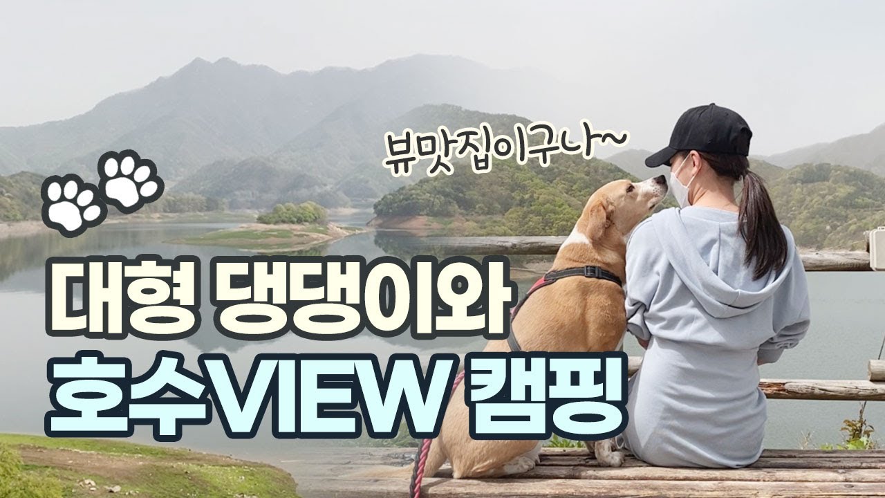 [솔로캠핑]우중캠핑|충주호 캠핑장 | 호수뷰캠핑장|대형견캠핑장 | 반려견동반 캠핑장 | 솔로캠핑 | 나홀로캠핑 | 비글 | 혼술 | 충청도 캠핑장