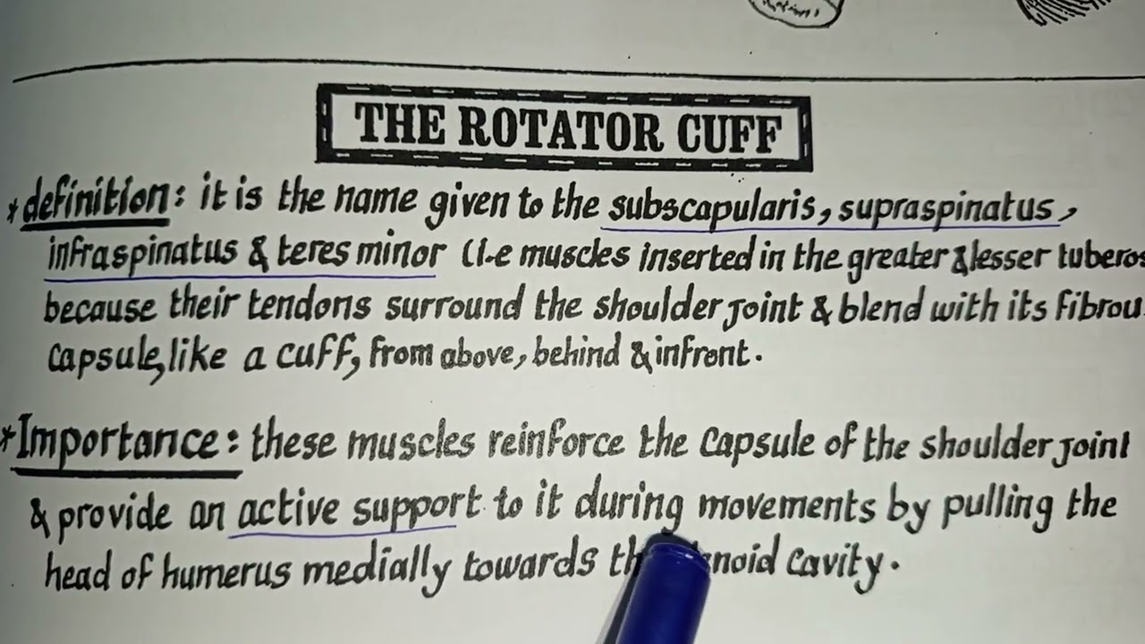 Rotator cuff (Muscle and importance)🎉#anatomy#memonics#easylearning#muscle#study#easystudy#education
