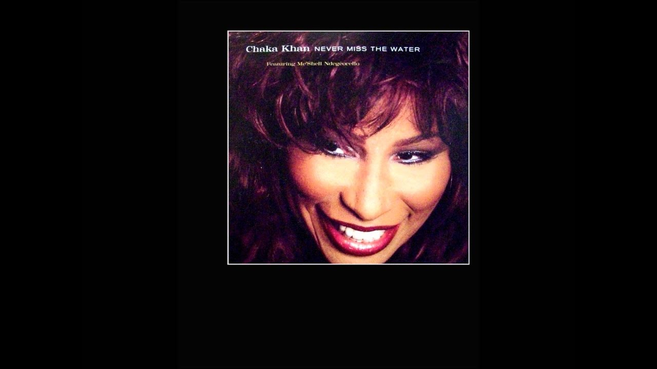 Chaka Khan - Never Miss The Water (Frankie Knuckles Remix)