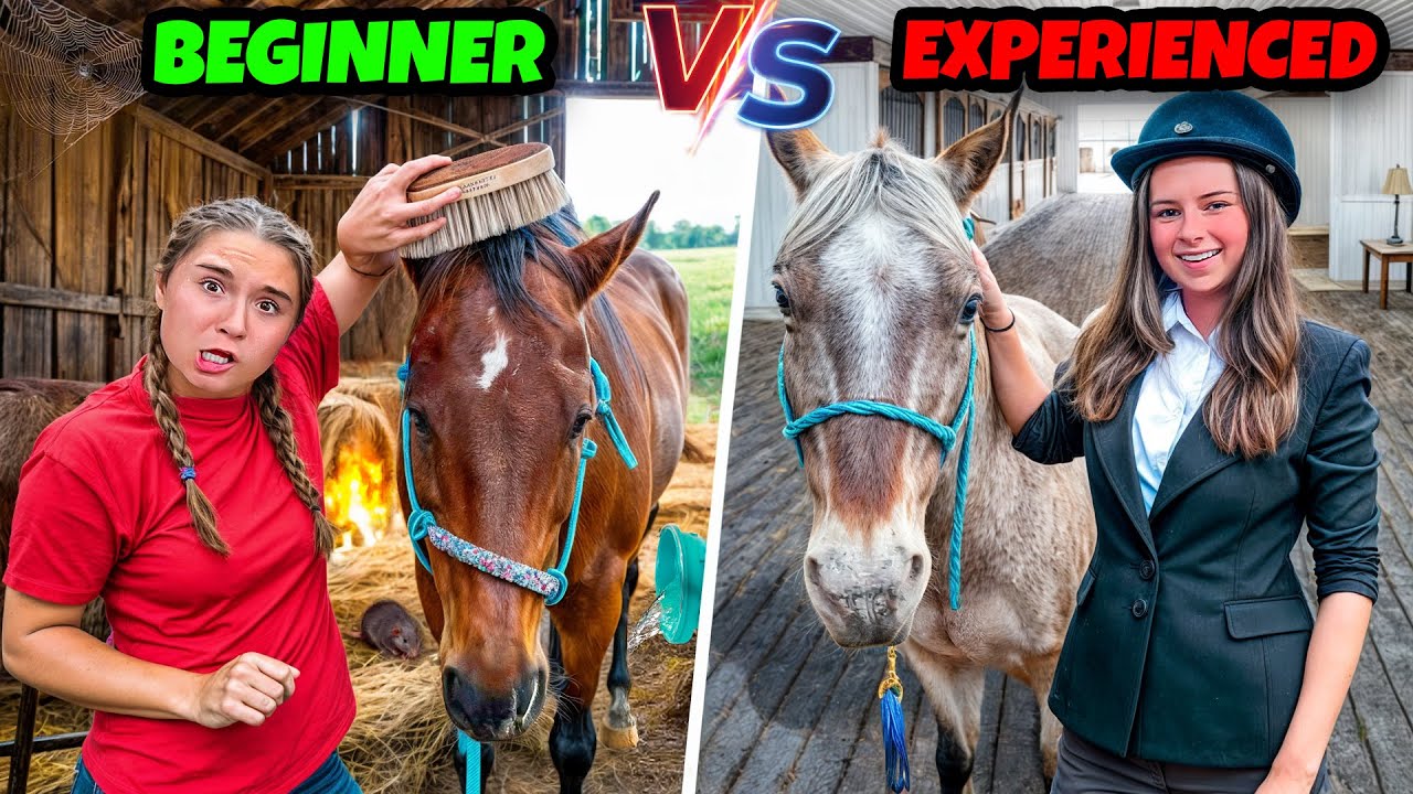 Beginner vs. Experienced Horse Owners – Who Wins?