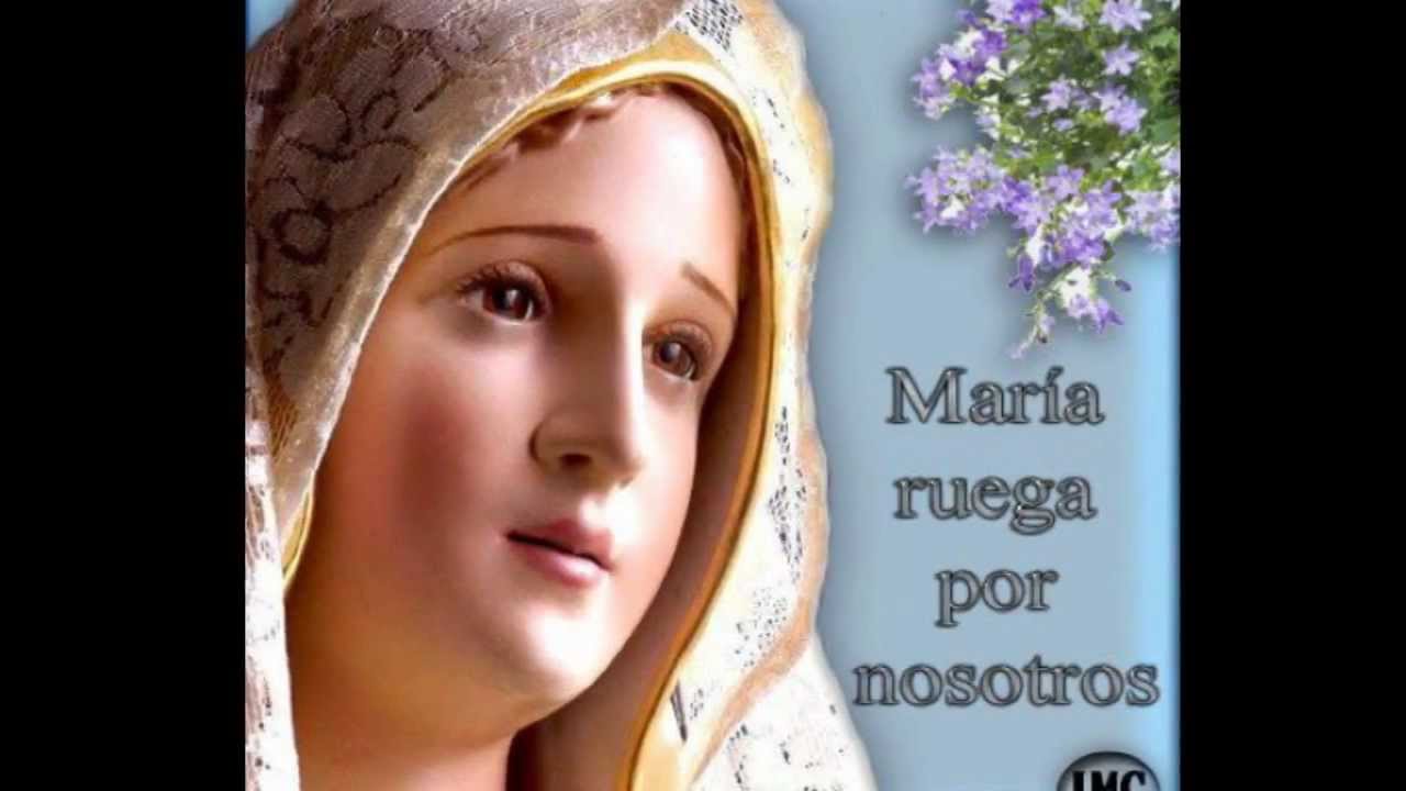 MCMD - Te Canto María