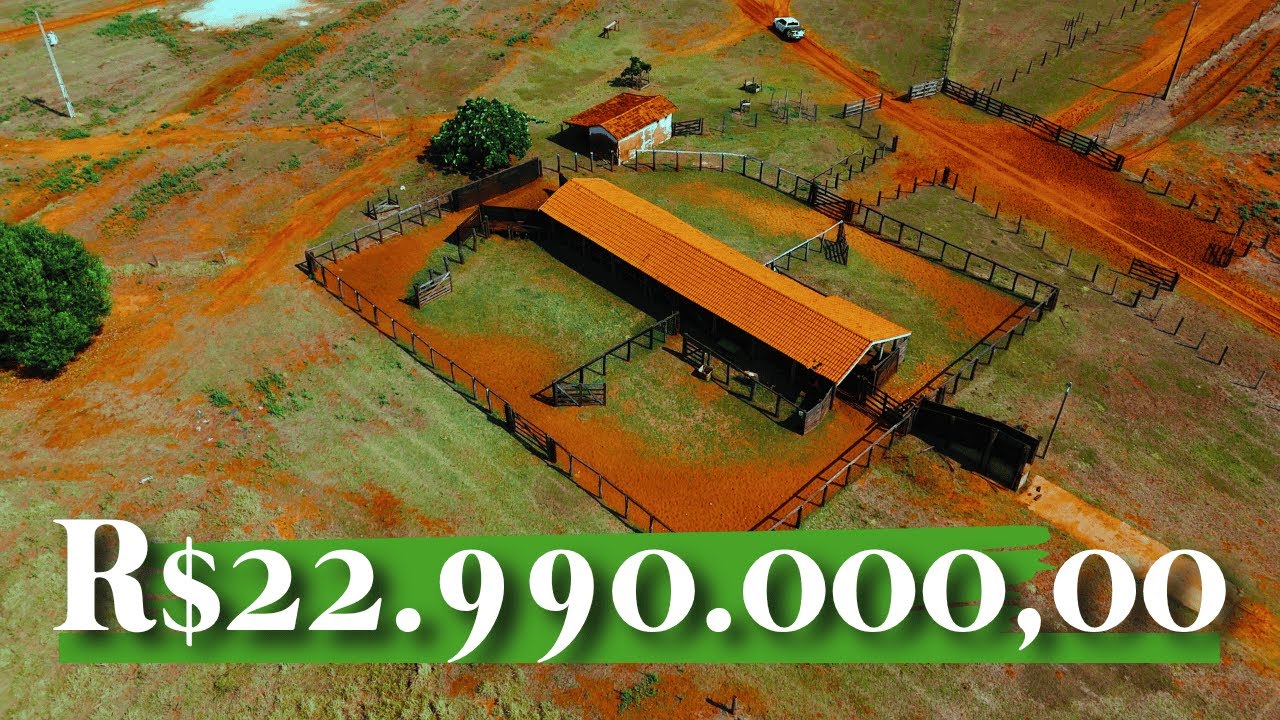 Incrível Fazenda à Venda na Rota da Celulose – Completa por R$23 Milhões!