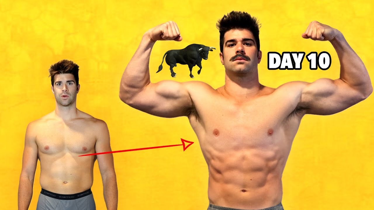 I Ate Bull Test*cle Powder Every Day for 10 Days