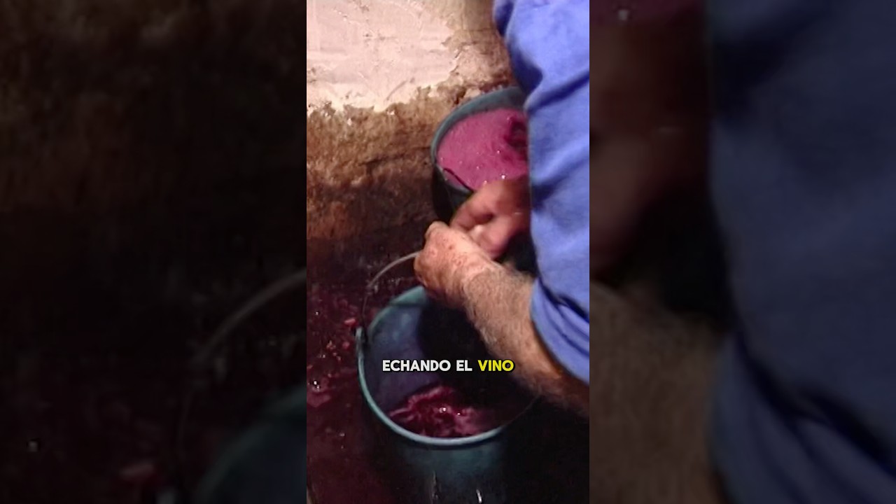 🍇🍷  VINO casero en un lagar tradicional