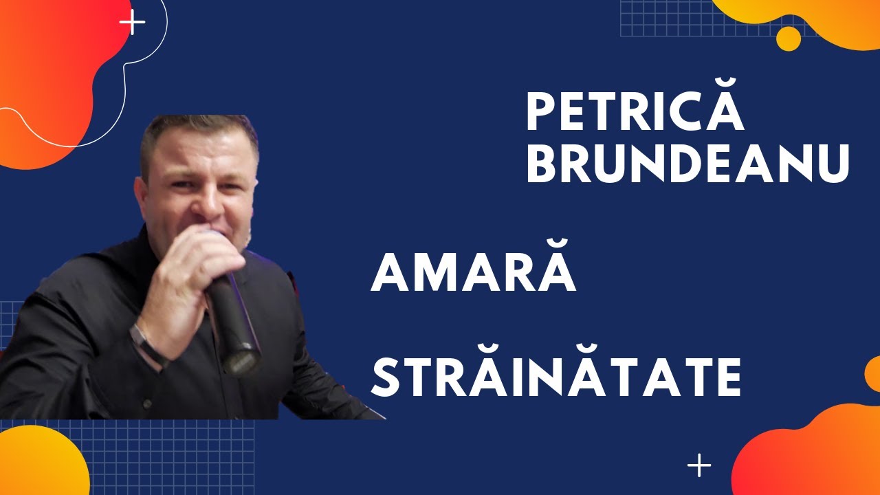 Petrică Brundeanu - Amară străinătate