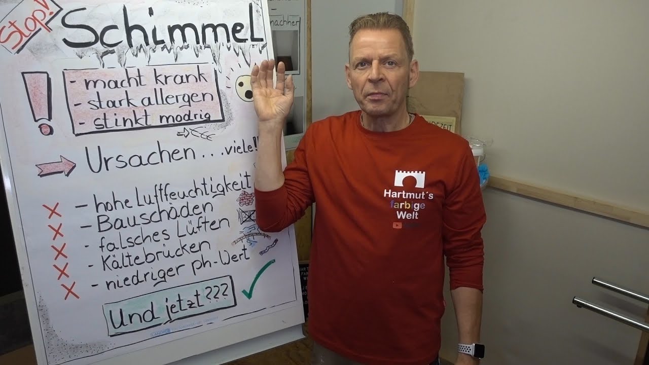 Schimmelflecken selbst entfernen und verhindern in wenigen Schritten, Lüftungstips, Erste Hilfe
