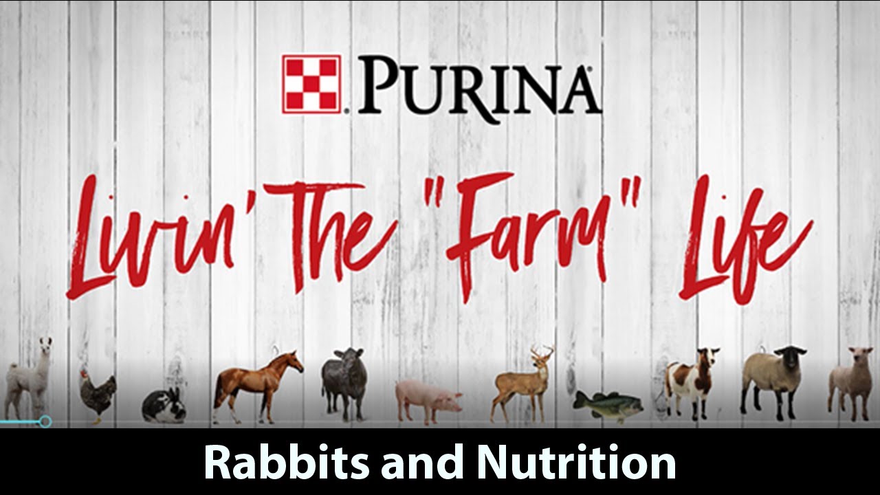 Purina Livin' the "Farm" Life – Питание для кроликов