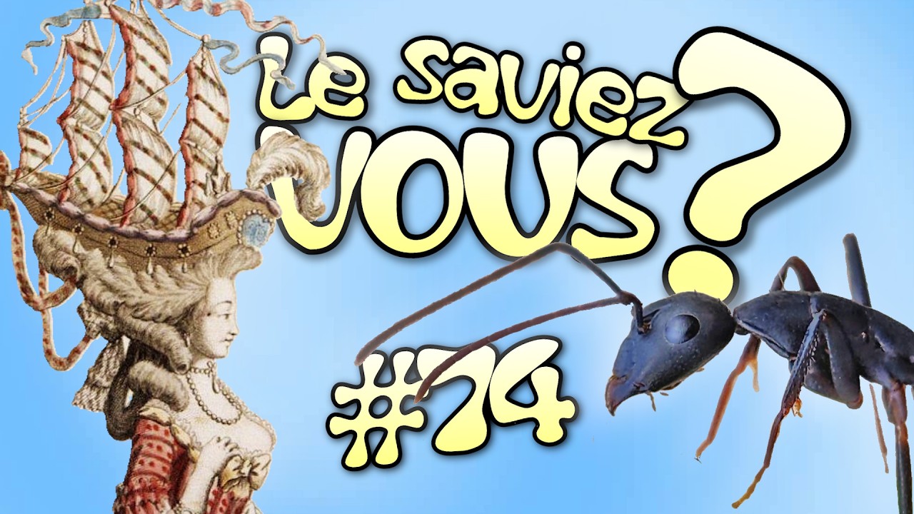 Le Saviez-Vous ? #74