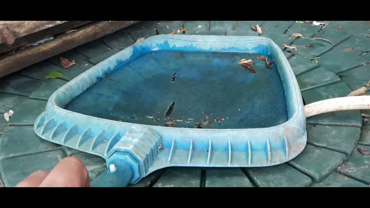 25/08 mur végétale aquaponique !