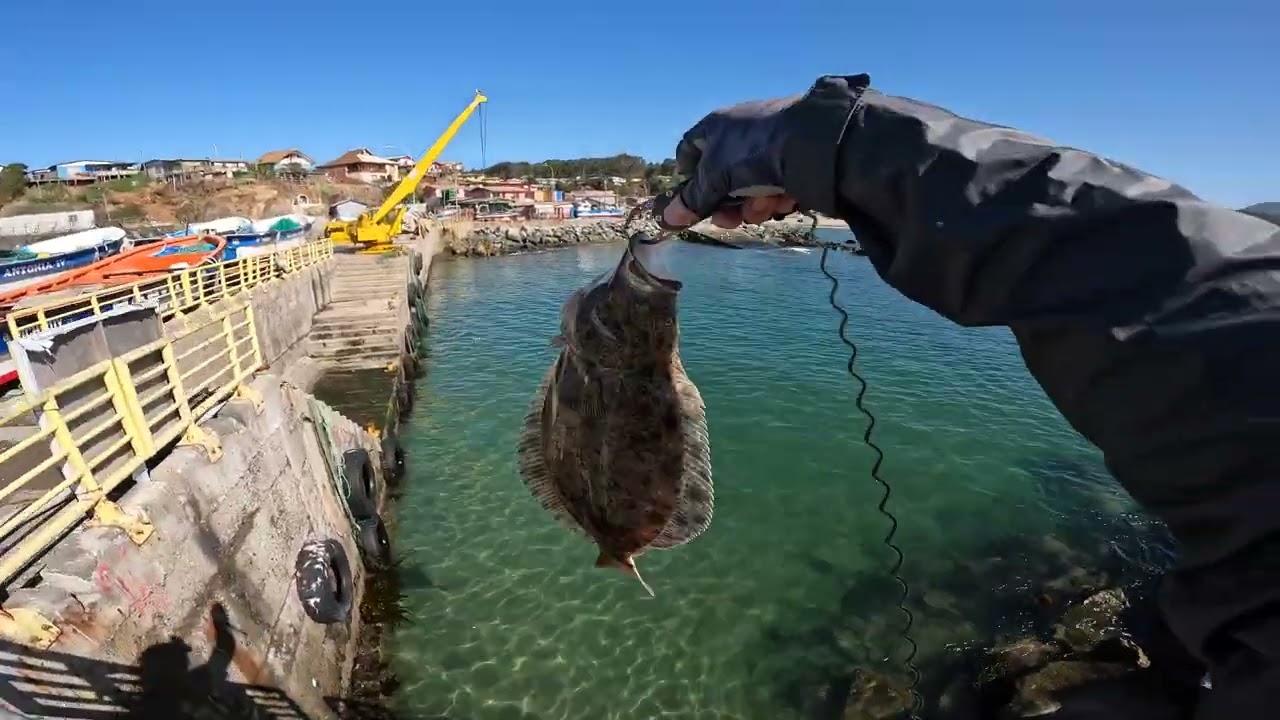 Pescando a full equipo Ligero