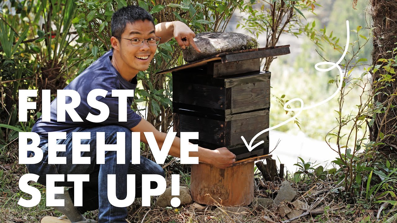 House tour! I Moved into a 120-Year-Old Japanese Farmhouse, and I Waxed My Beehive