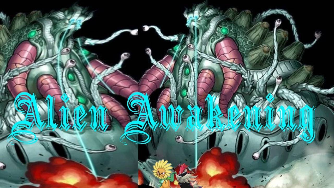 The new Meta Contender - ALIENS