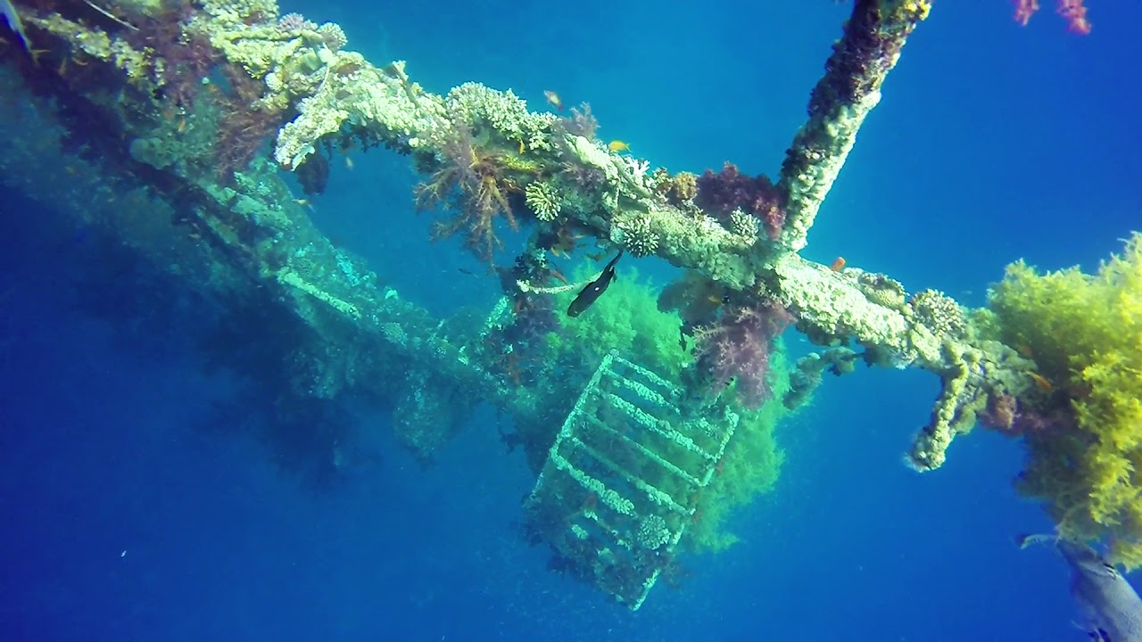 Dive Aqaba Jordan April 8th 2018