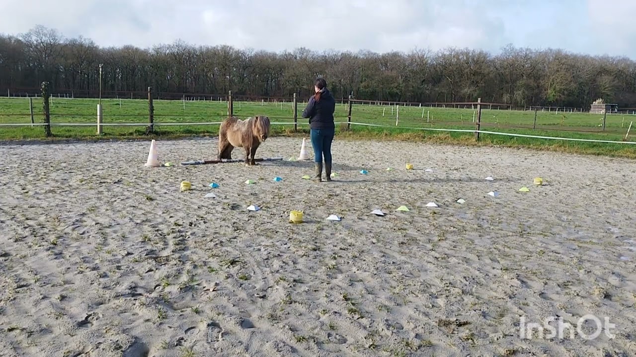 Equifeel virtuel Caval Go 2026 avec Champi. Épreuve club 2 manche 2