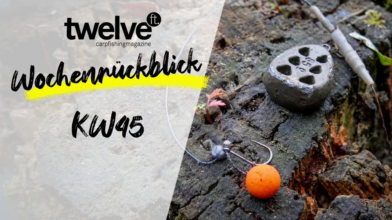 12ft Mag Wochenr&uuml;ckblick KW45 | Rutenfutteral | Hook and Hold | EVA-Taschen | Enzyme | Karpfenangeln