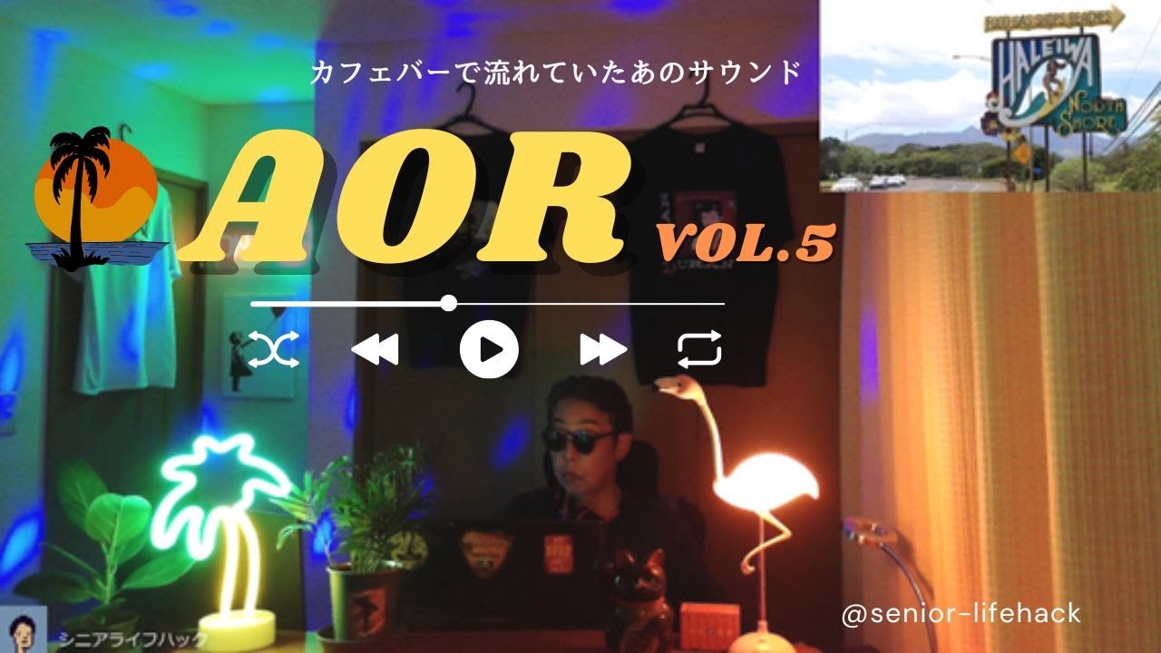 【AOR Vol.5】ゲレンデ⛷️やビーチサード🏝️のカフェバーで聞いた懐かしの曲　80年代を中心にお届けします　＠Tokyo Japan