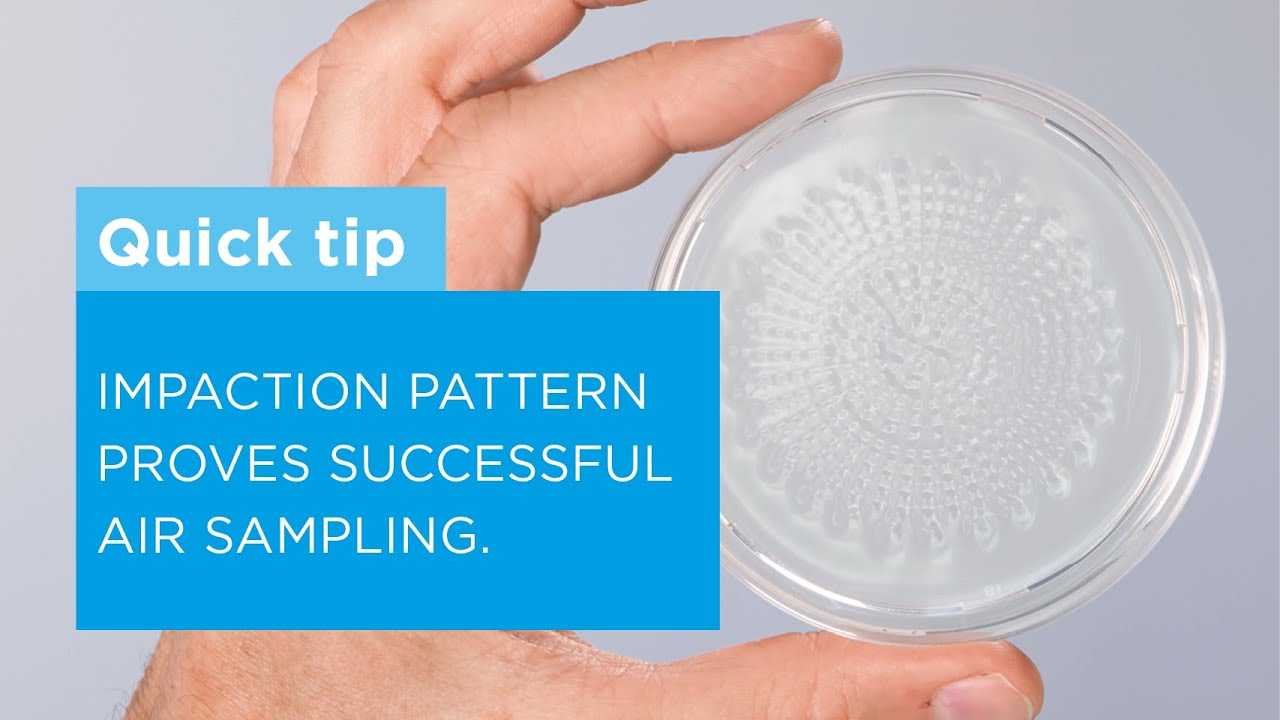 Impaction pattern on the agar plate proves successful active microbial air sampling