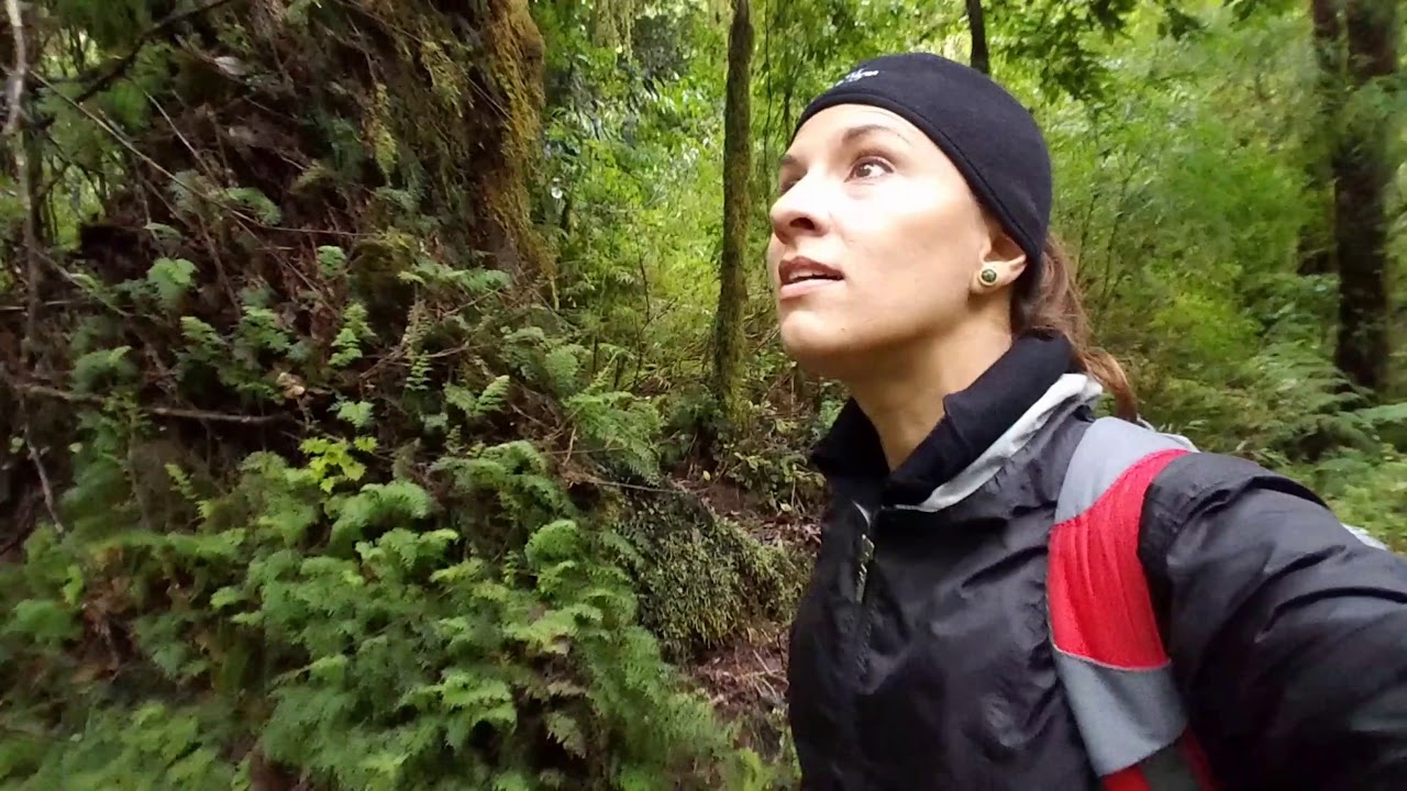 Hiking Alerce Andino National Park. Chile Road Trip Day 5