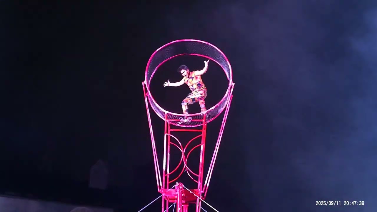 Cirque Du Grotesque 2/3 (2025)