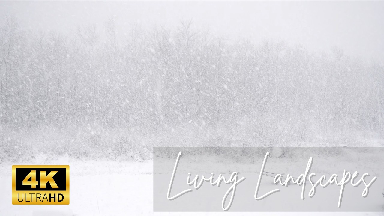 Heavy Snowfall at Sunset in Maine | Peaceful, Relaxing, Beautiful | 4K