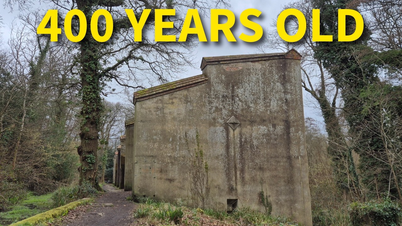 Chillworth Gunpowder Mills Walk 🇬🇧 | Historic Ruins Walking Tour | Surrey UK #uk #pov